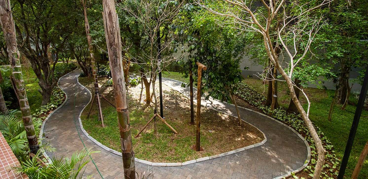 imagens-obras